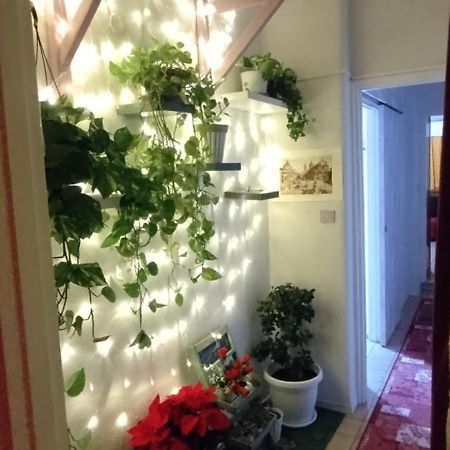 Intero Appartamento Catania Policlinico Gravina di Catania Εξωτερικό φωτογραφία